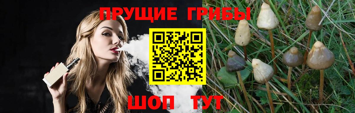 Псилоцибиновые грибы мицелий  Вход с VPN  Ангарск 