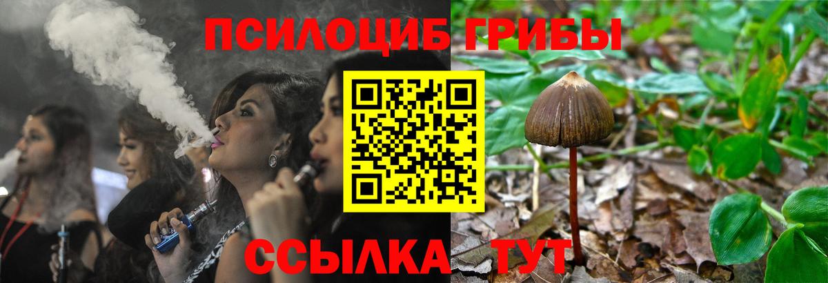 Псилоцибиновые грибы мицелий Ангарск